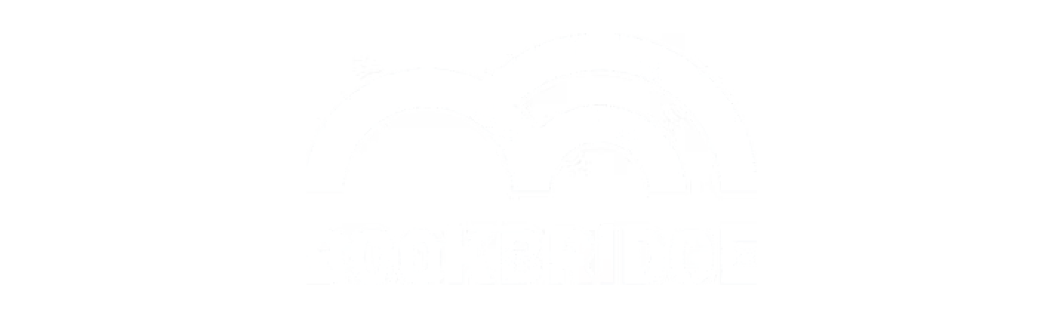 BookBridge
