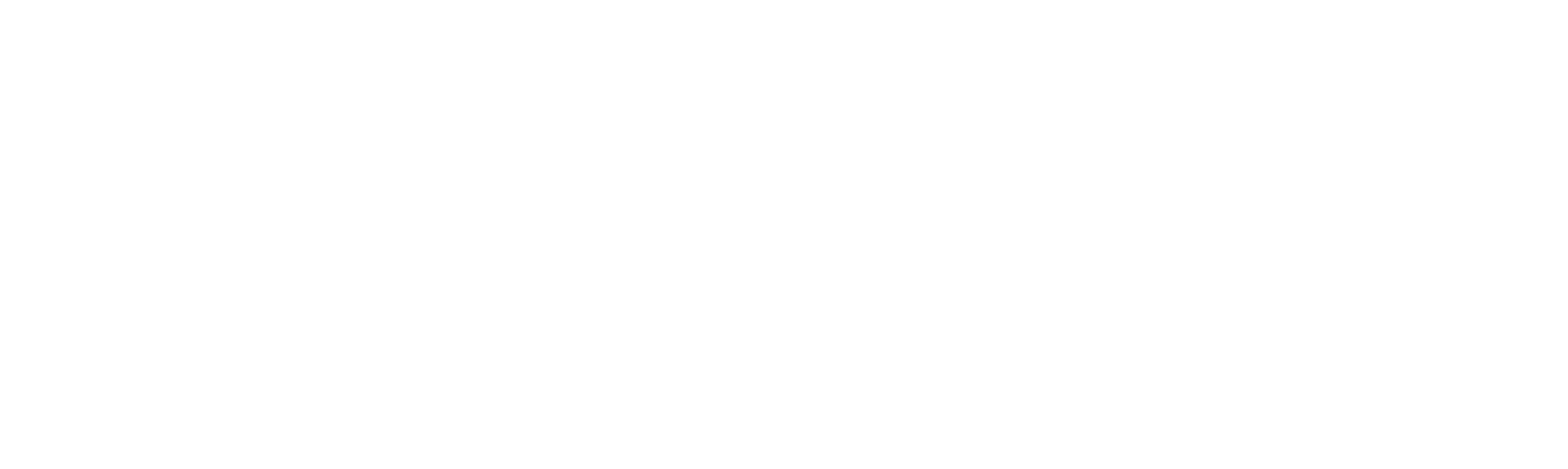 STEINBIS