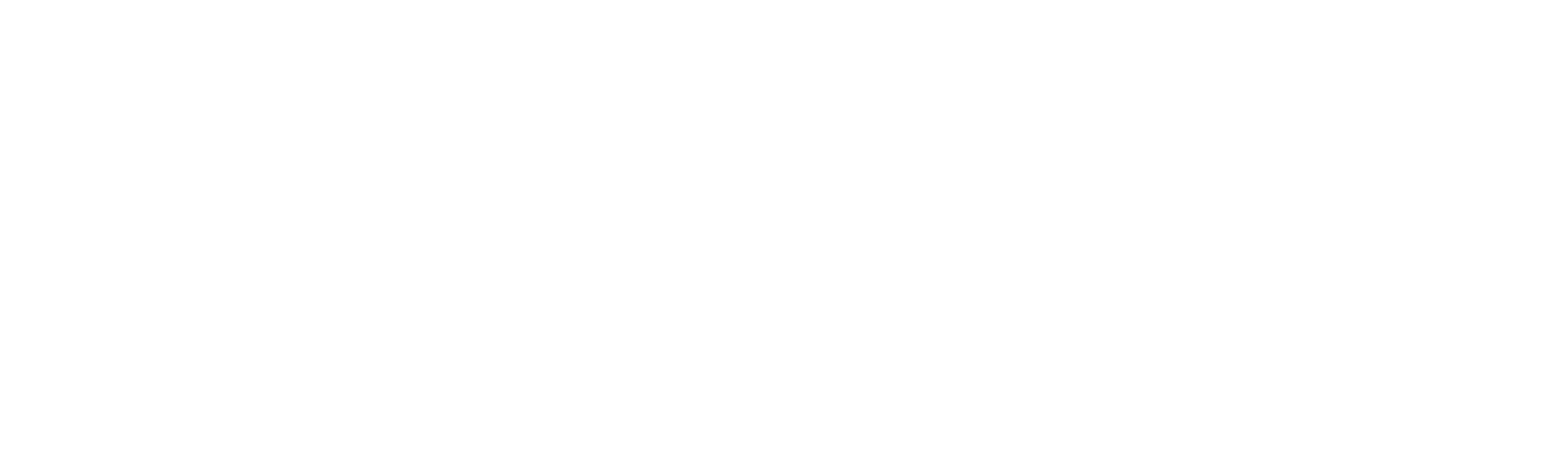 SOROPTIMIST-INTERNATIONAL
